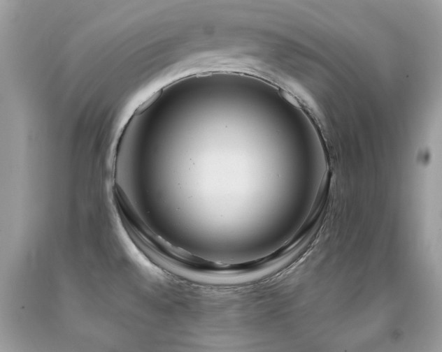 X0000091981528200709061343