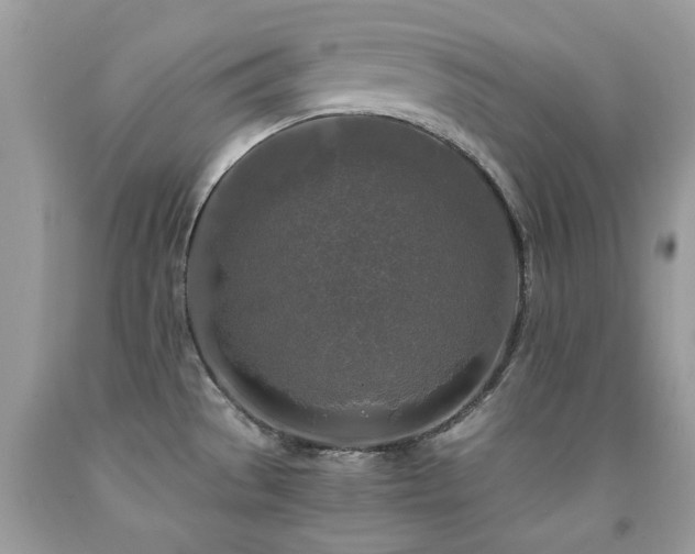 X0000091981529200709061343