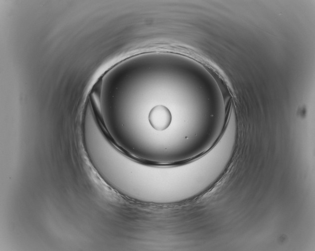 X0000091981530200709061343