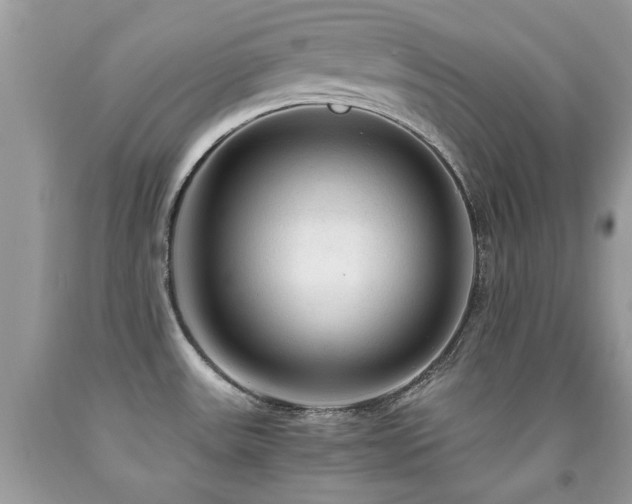X0000091981531200709061343