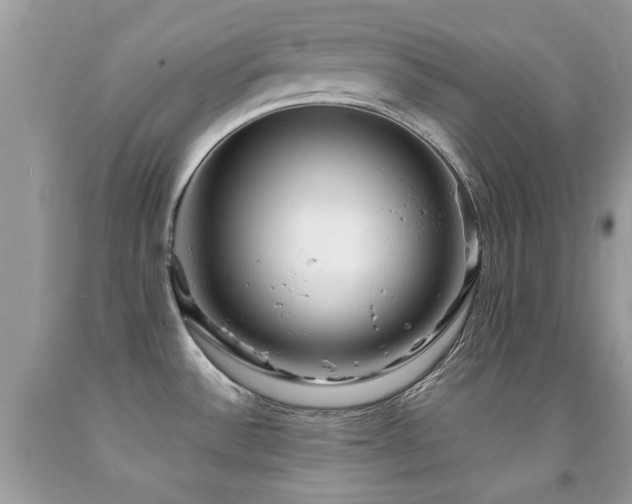 X0000091981532200709061343