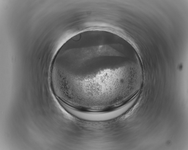 X0000091981533200709061343