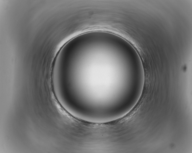 X0000091981534200709061343