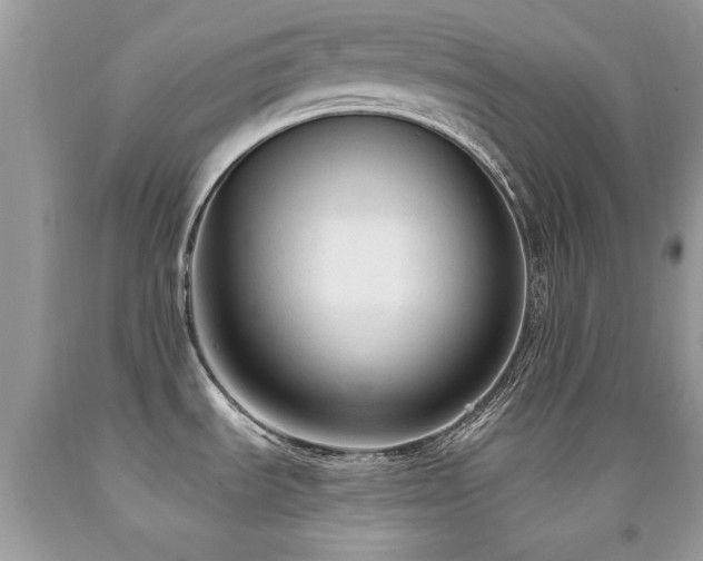 X0000091981535200709061343