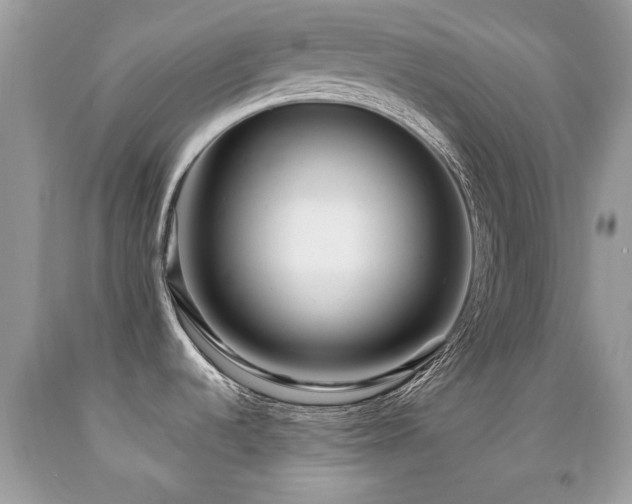 X0000091981536200709061343
