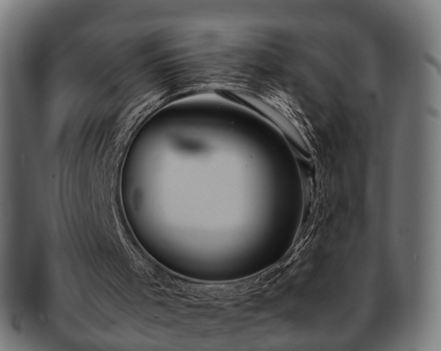 X0000091980001200709131421