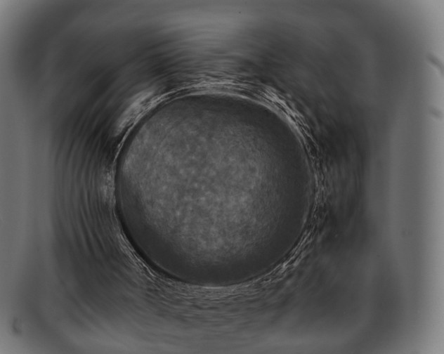 X0000091980002200709131421