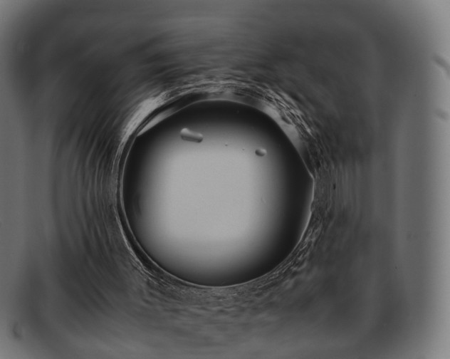 X0000091980003200709131421