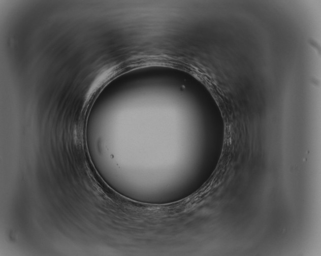 X0000091980004200709131421