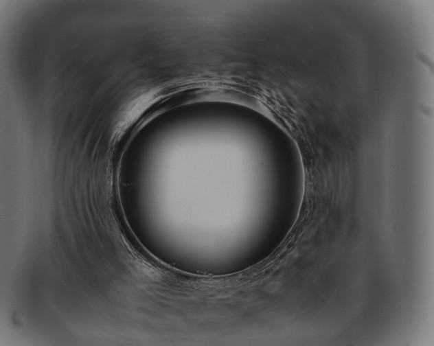 X0000091980005200709131421