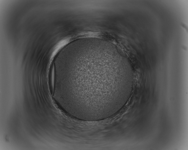 X0000091980006200709131421