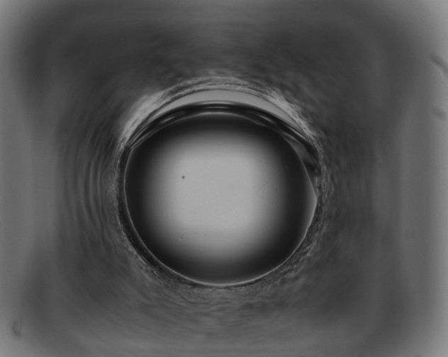 X0000091980007200709131421