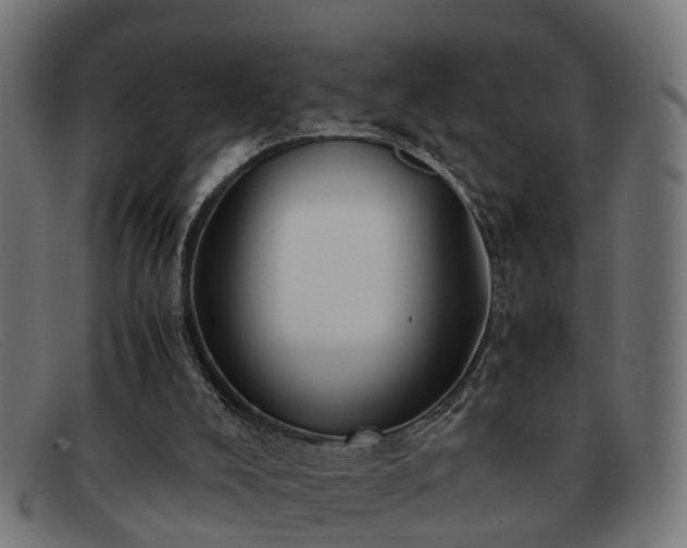 X0000091980008200709131421