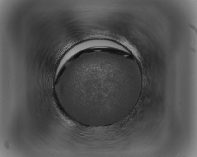 X0000091980009200709131421