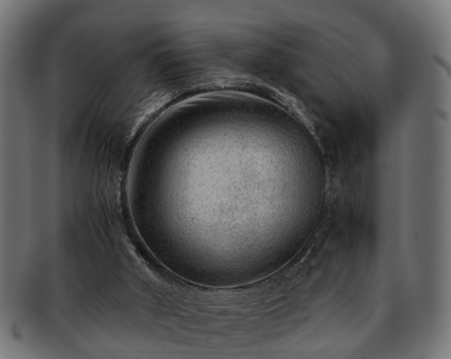 X0000091980010200709131421