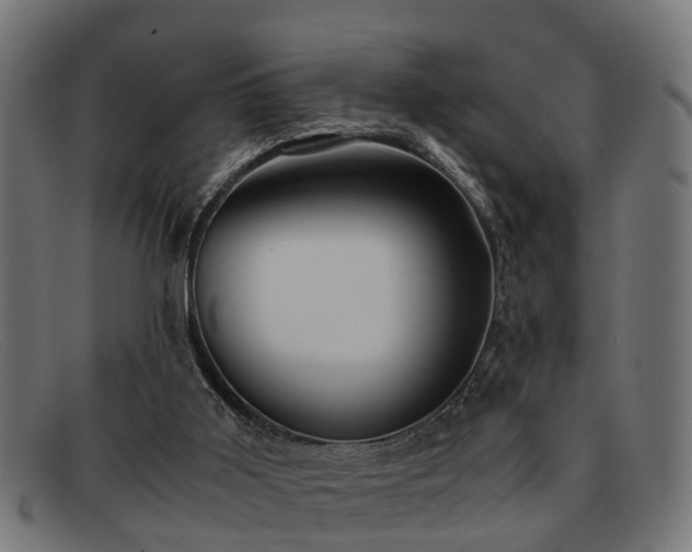 X0000091980011200709131421