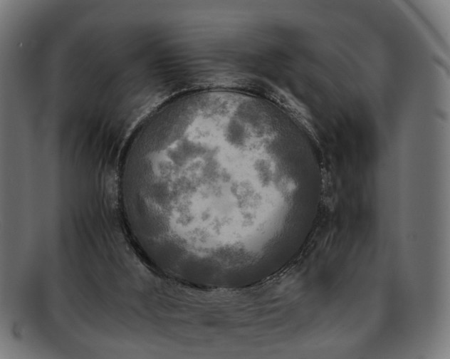 X0000091980012200709131421