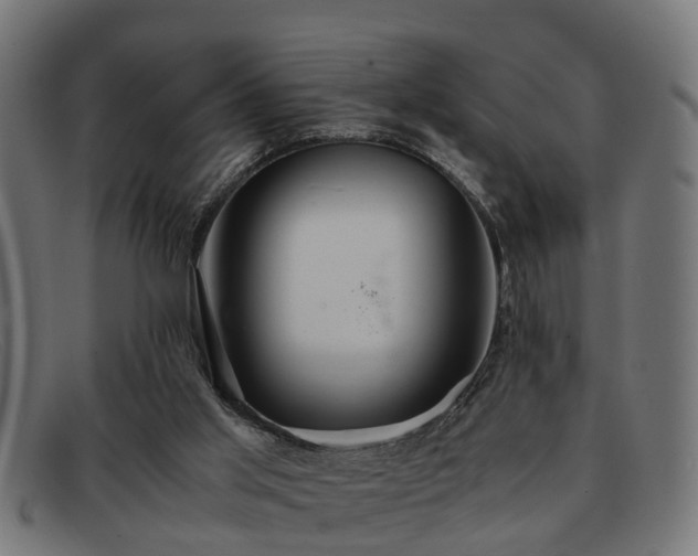 X0000091980013200709131421