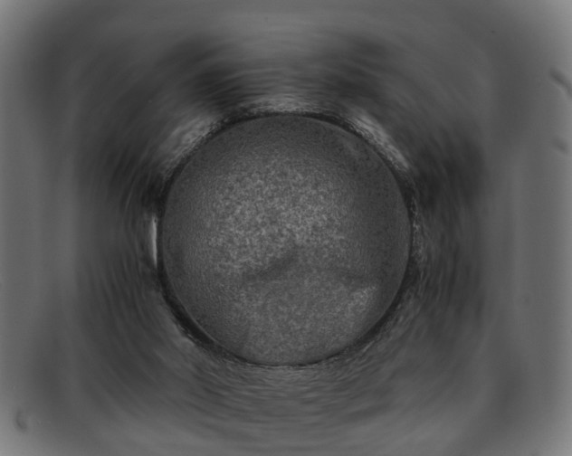 X0000091980014200709131421