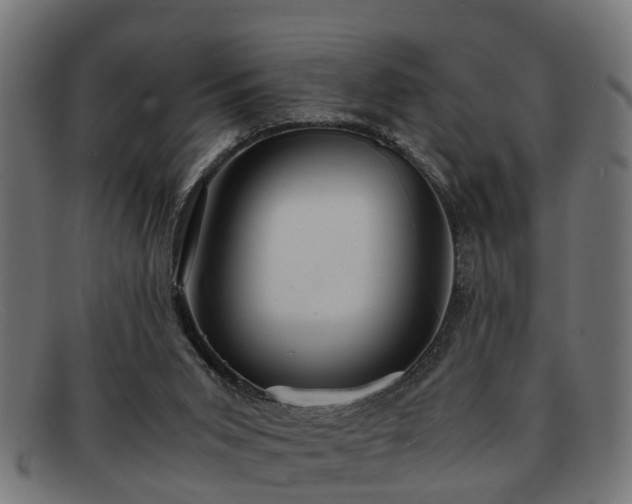 X0000091980015200709131421