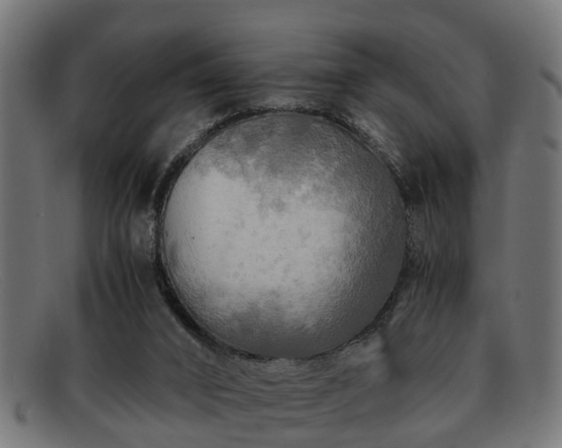 X0000091980016200709131421