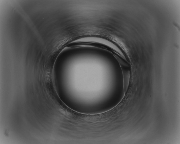 X0000091980017200709131421