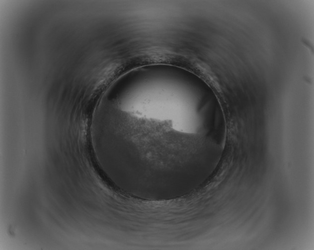 X0000091980018200709131420