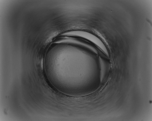 X0000091980019200709131420