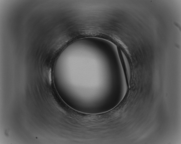 X0000091980020200709131420