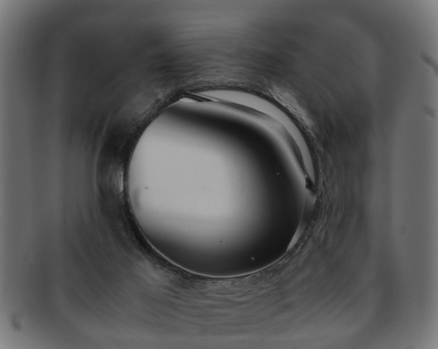 X0000091980021200709131420