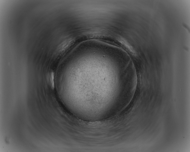 X0000091980022200709131420