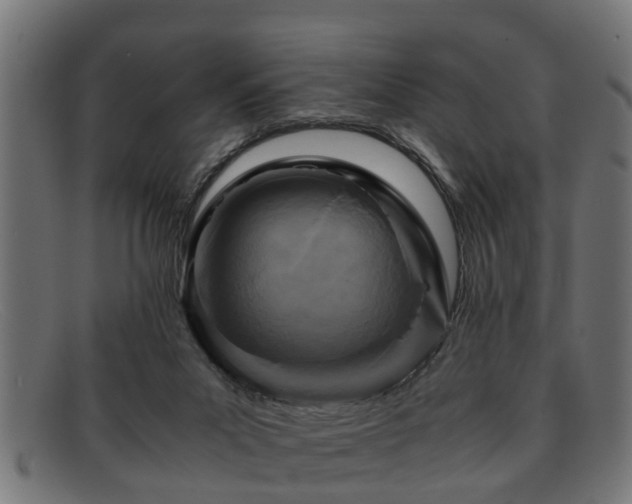 X0000091980023200709131420