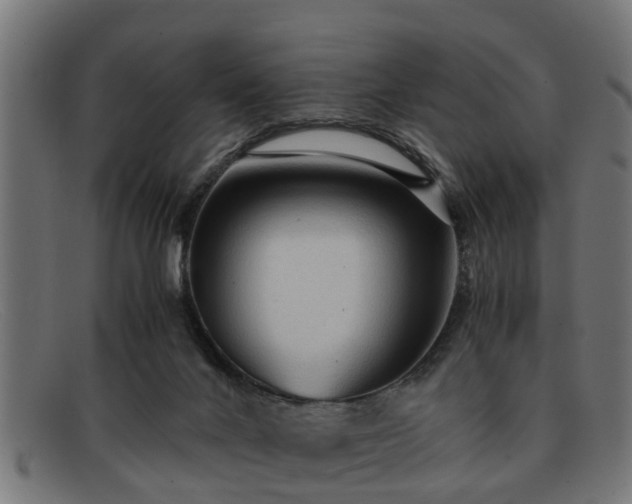 X0000091980024200709131420