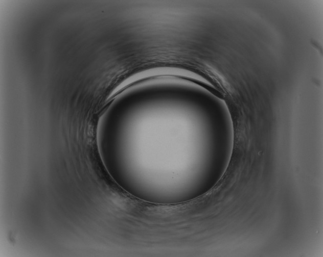 X0000091980025200709131420