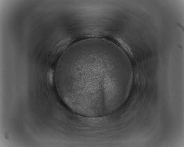 X0000091980026200709131420