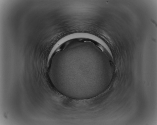 X0000091980029200709131420