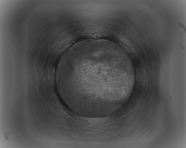 X0000091980030200709131420