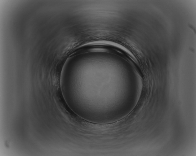 X0000091980031200709131420