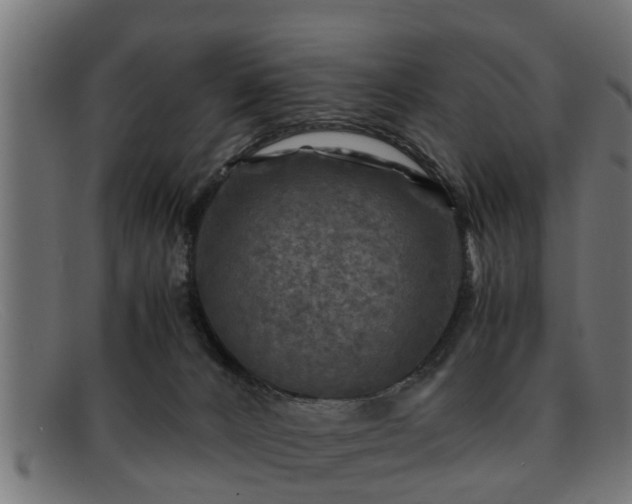 X0000091980032200709131420