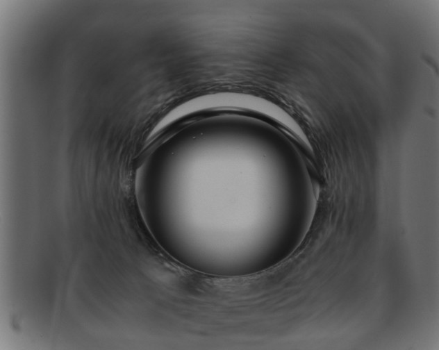 X0000091980033200709131420