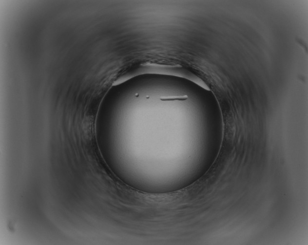 X0000091980034200709131420