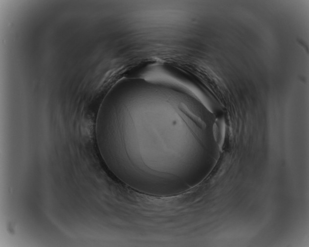 X0000091980035200709131420