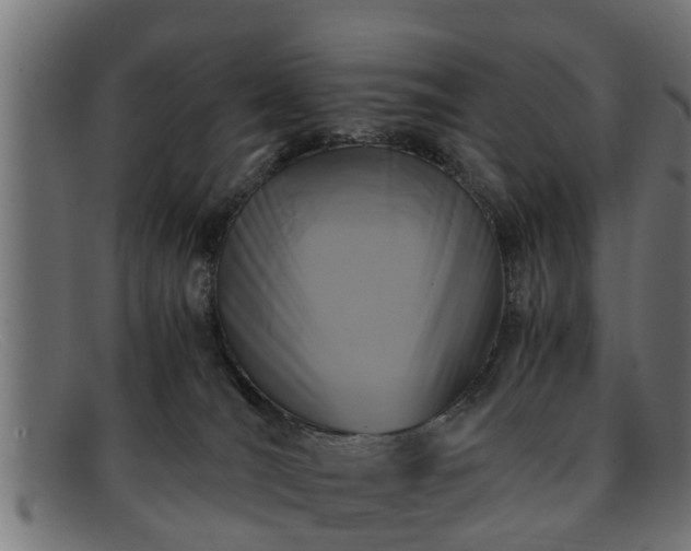 X0000091980036200709131420