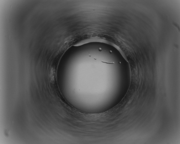 X0000091980038200709131420