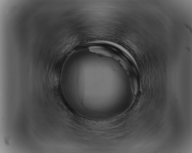 X0000091980039200709131420