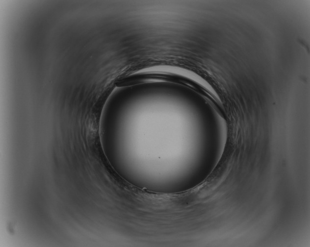 X0000091980040200709131420