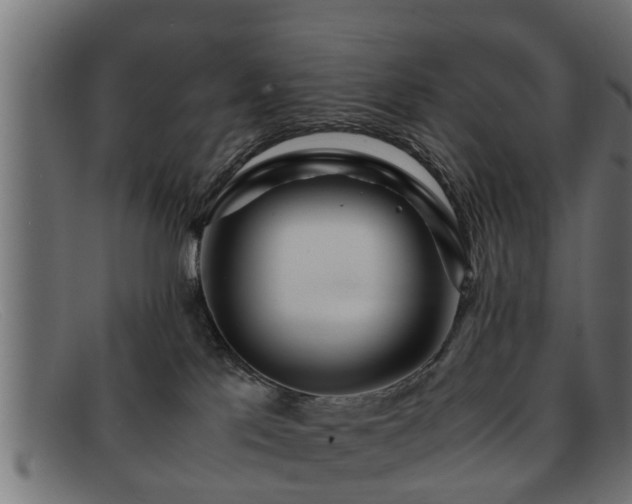 X0000091980041200709131420