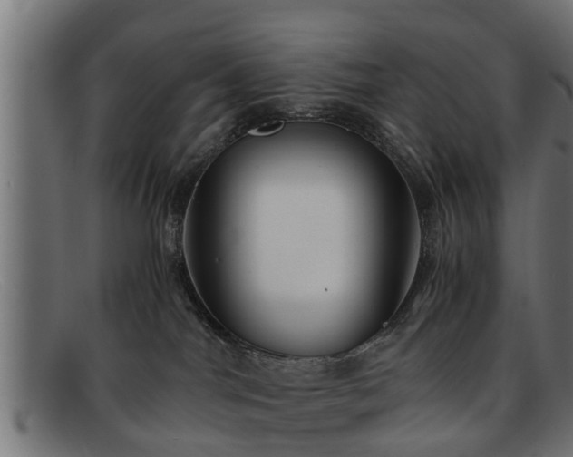 X0000091980044200709131420