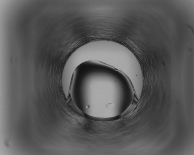 X0000091980045200709131420