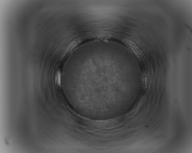 X0000091980046200709131420